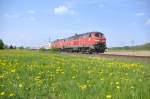 Hallo Karl,
diese Abstufung zum RE/RB gibt es �brigens auch zwischen Itzehoe und Westerland.

Vie